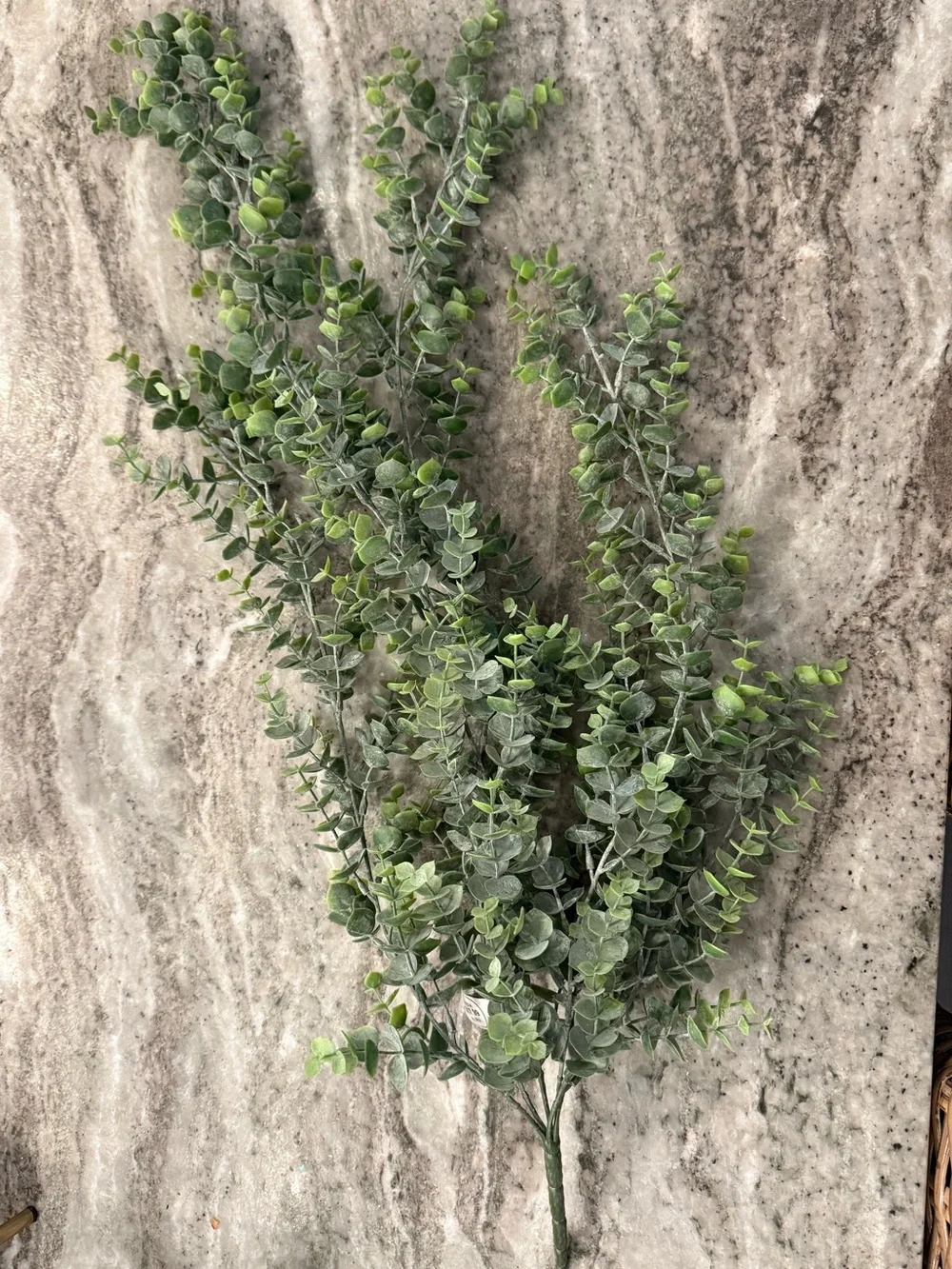 28” Eucalyptus Bush/Spray